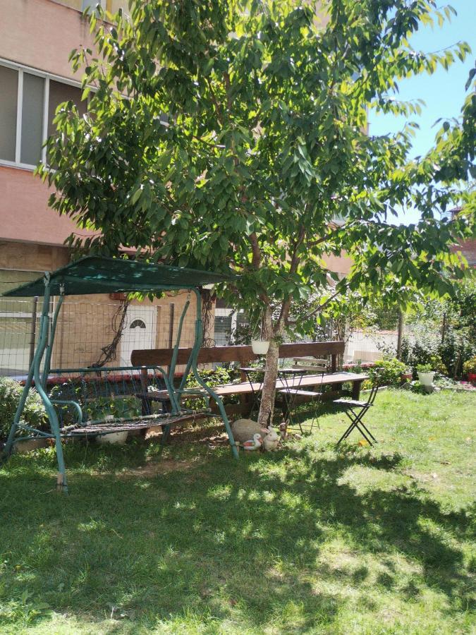 Vila Nova ساندانسكي المظهر الخارجي الصورة